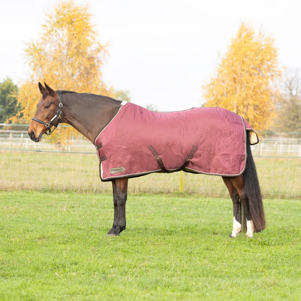 StormX Original Luxury Show Rug - Image 2