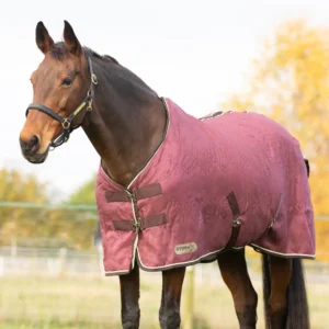 StormX Original Luxury Show Rug