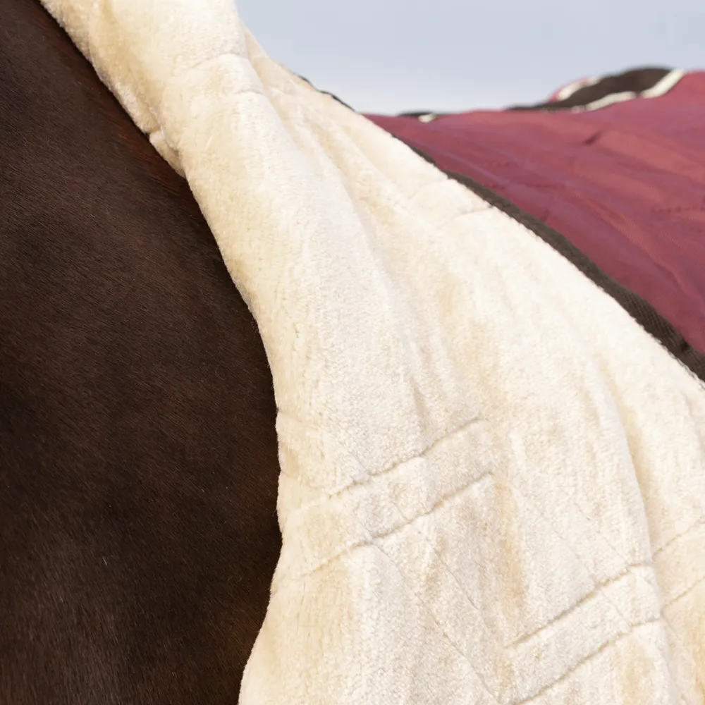 StormX Original Luxury Show Rug - Image 3