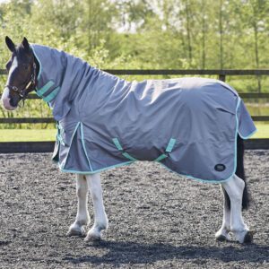 Firefoot Turnout Rug Fixed Neck 200g 