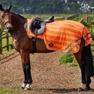 Firefoot Reflective Exercise Sheet