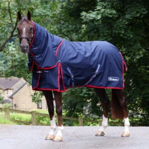 Whitaker Turnout Rug Detachable Neck Combo 250g -Rastrick V2