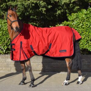 Whitaker Turnout Rug 0g -Rastrick