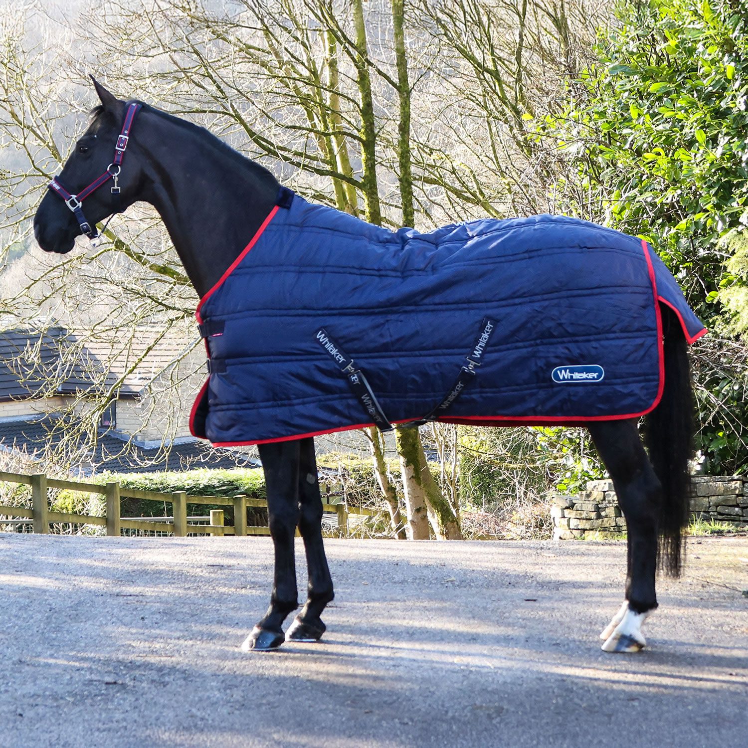Whitaker R451 Stable Rug Standard Neck 200g -Rastrick V2