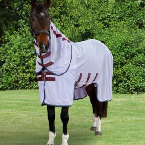 Premier Equine Fly Rug with Detachable Neck -Bug Buster
