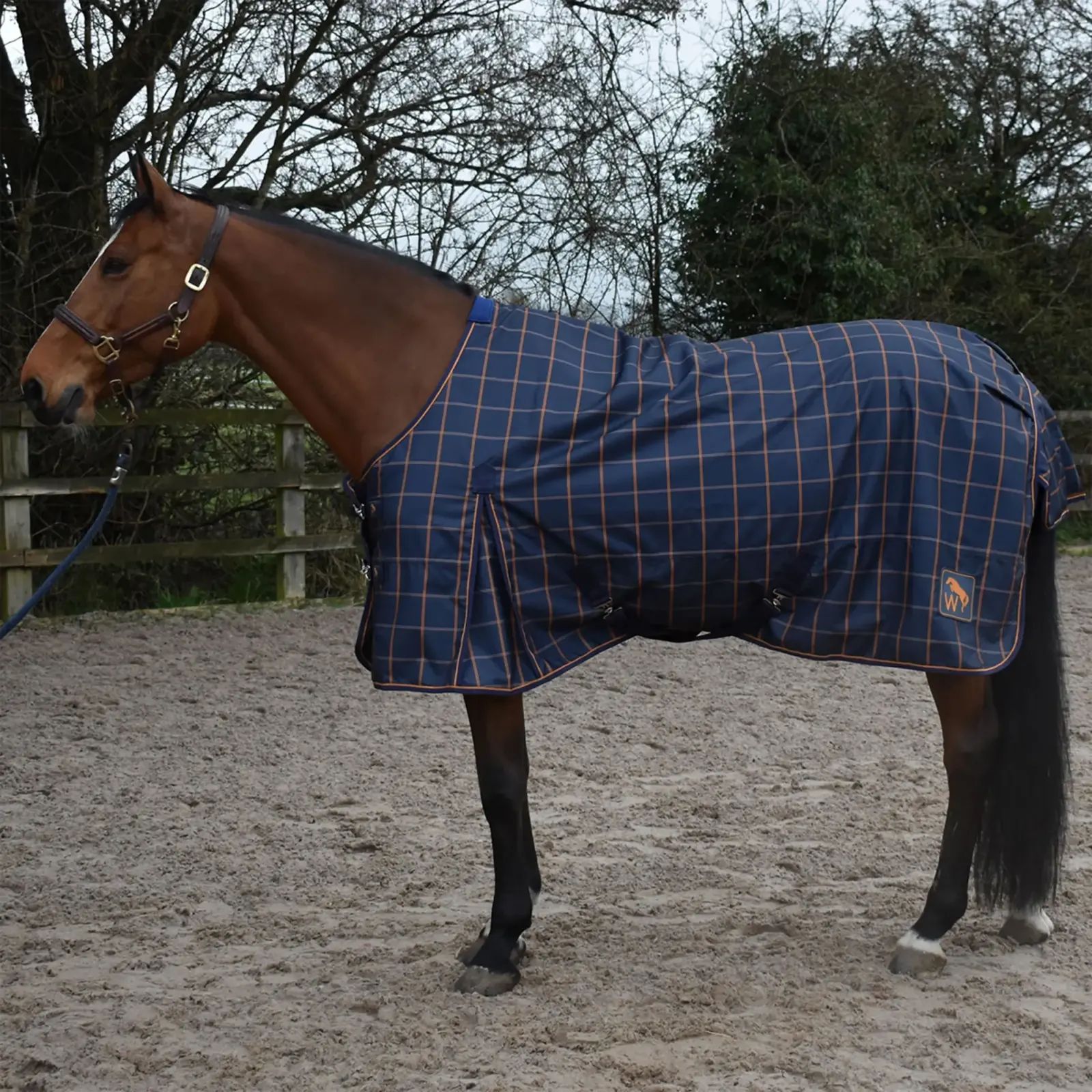 Whitaker Jacob 0g Lightweight Turnout Rug - Image 2