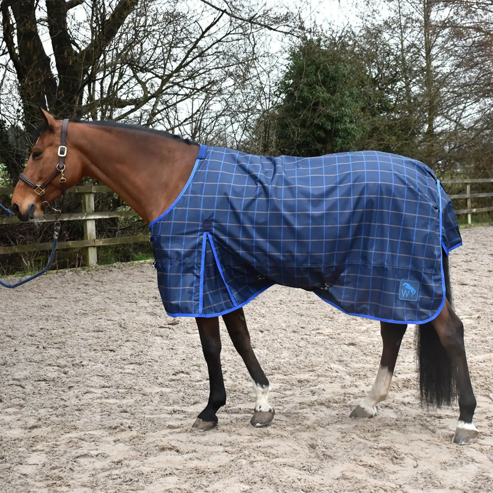 Whitaker Lightweight Turnout Rug 0g -Jacob
