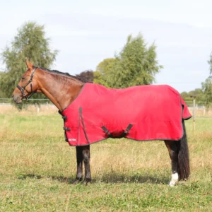 HY Equestrian 100g Turnout Rug -HyCONIC