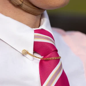 Supreme Products Glitz & Glam Collar Pin
