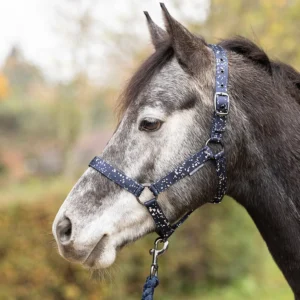 Hy Equestrian Head Collar and Lead Rope -Elevate Allure