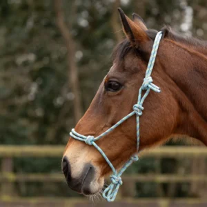 Hy Equestrian Rope Halter -Thick