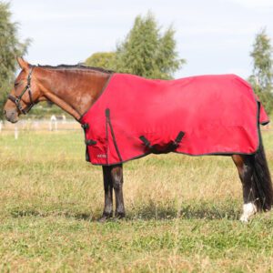 HY Equestrian 50g Turnout Rug -HyCONIC