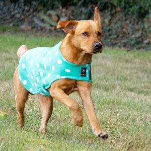 Supreme Products Dog Coat -Dotty Fleece