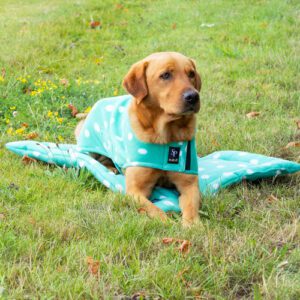 Dotty Fleece Dog Bed by Supreme Products