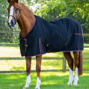 Premier Equine Stable Sheet -Barrasso