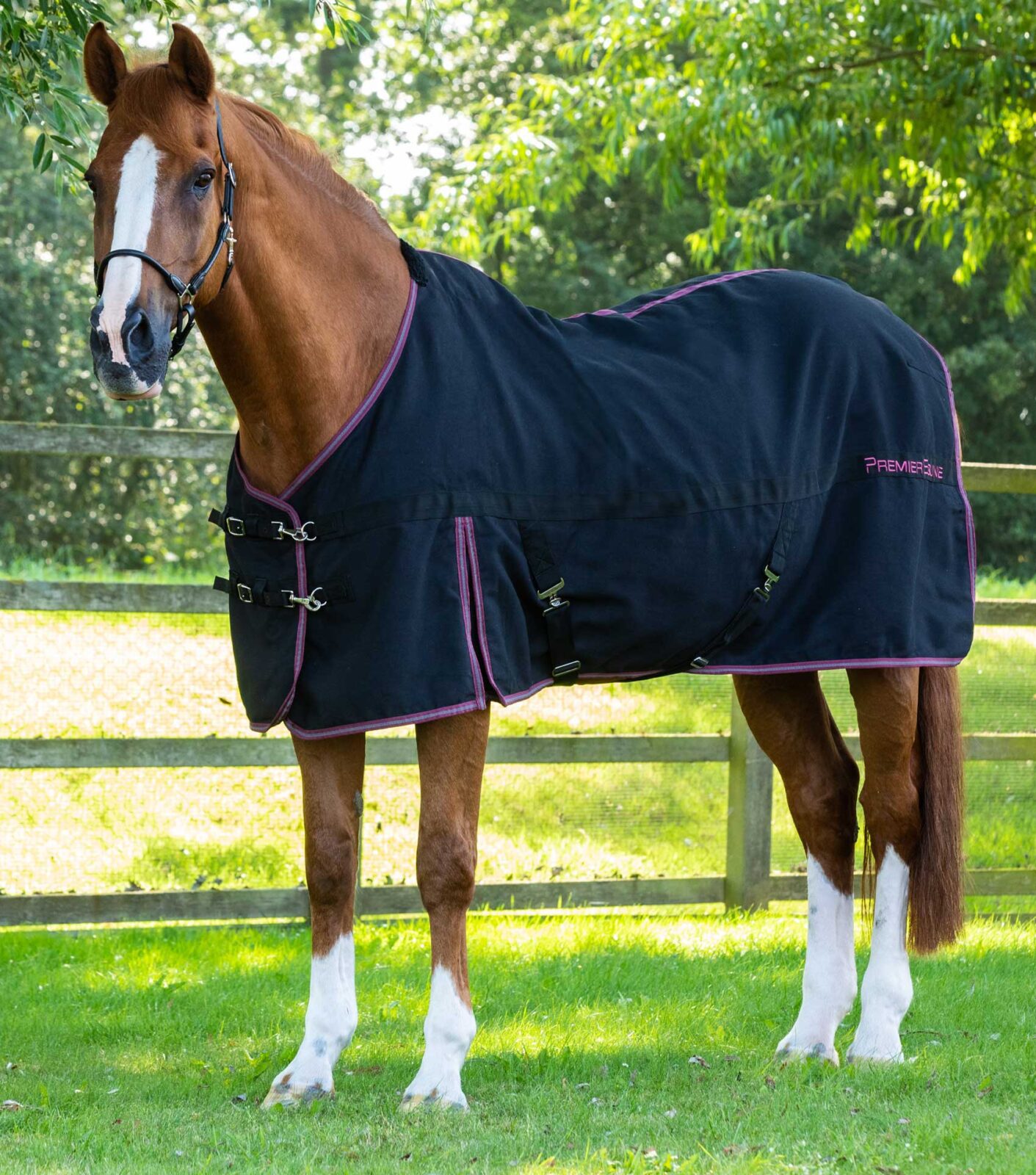 Premier Equine Stable Sheet -Barrasso