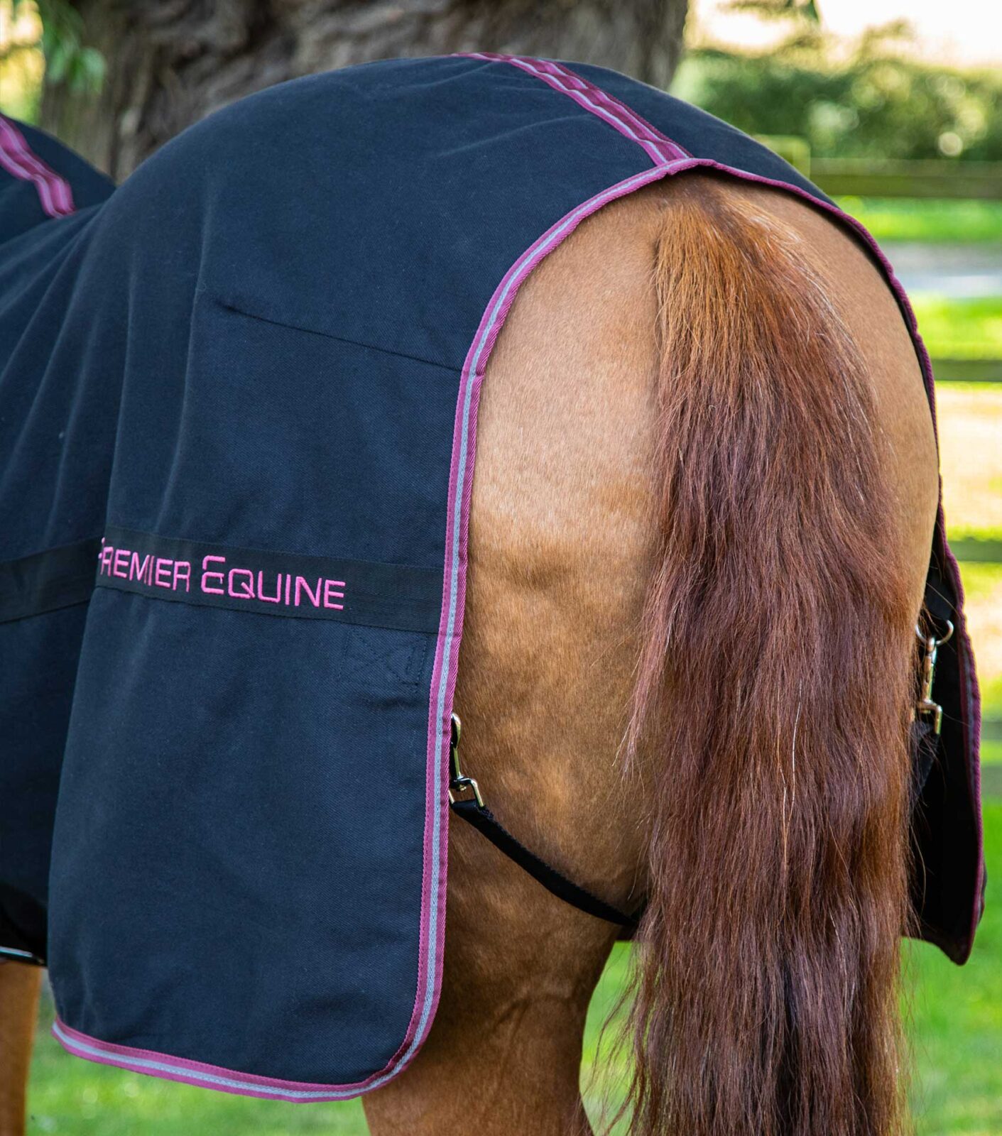 Premier Equine Stable Sheet -Barrasso - Image 9