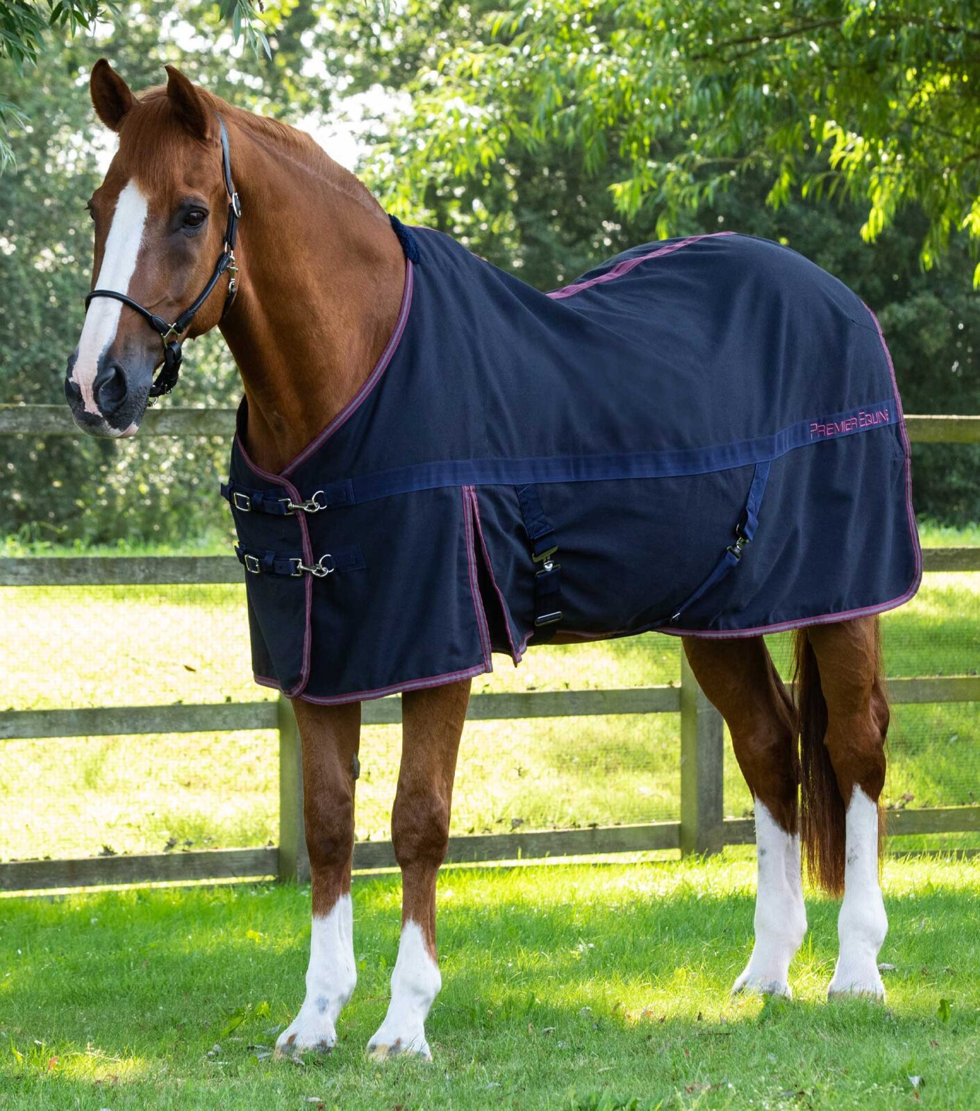 Premier Equine Stable Sheet -Barrasso - Image 2