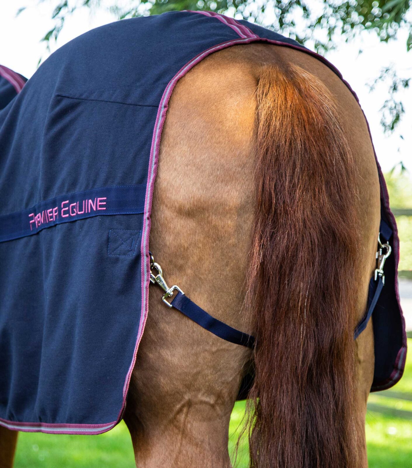Premier Equine Stable Sheet -Barrasso - Image 10