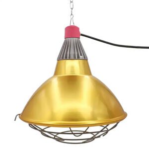 Curalux Agricultural Heating Lamp