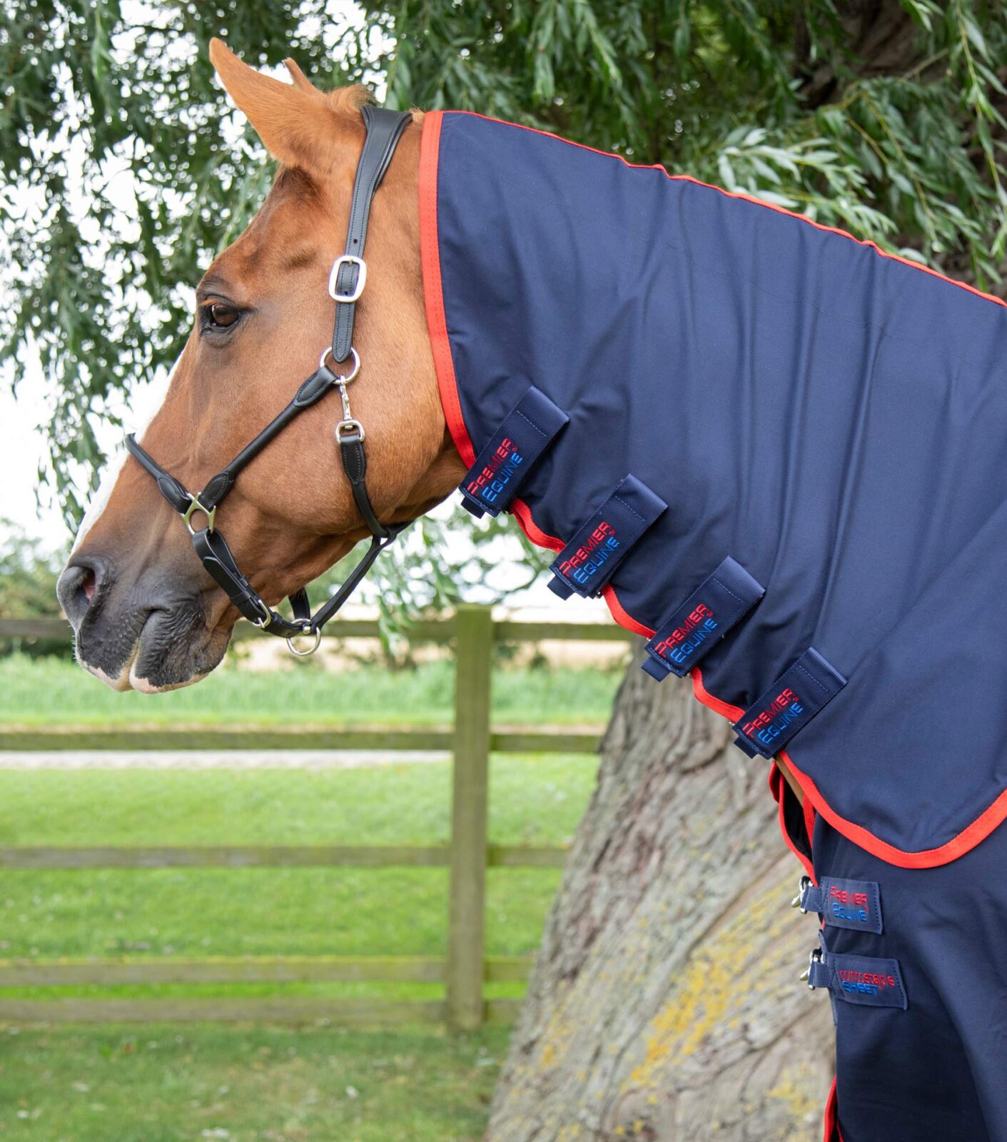 Premier Equine Combo Stable Sheet - Image 2