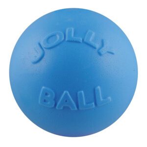 Jolly Pets Bounce-n-Play -Blueberry
