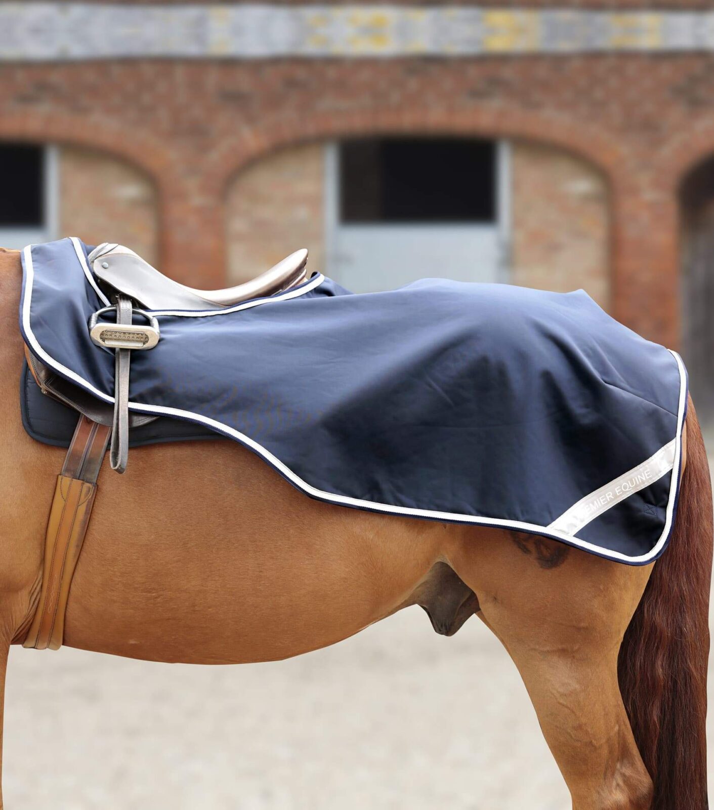 Premier Equine Exercise Sheet