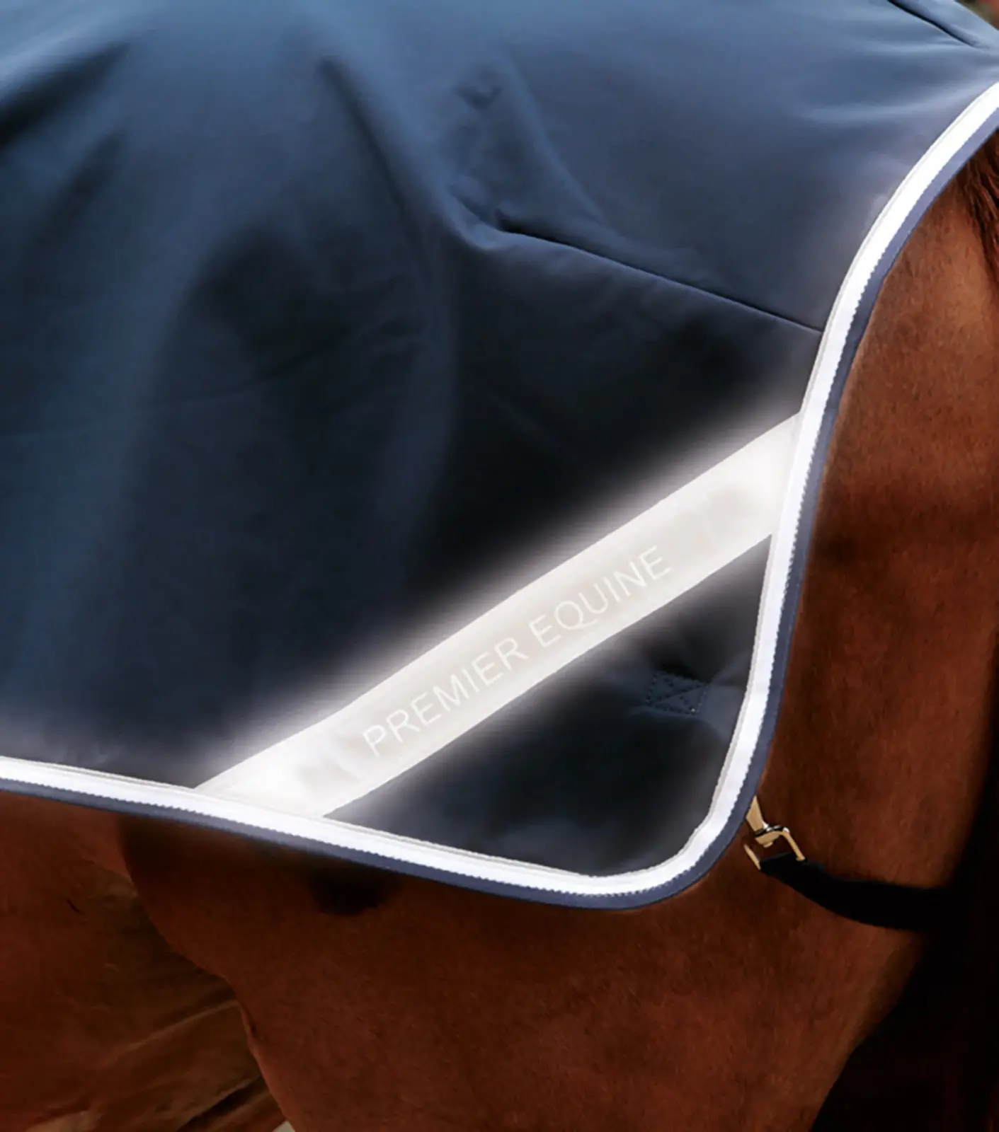 Premier Equine Exercise Sheet - Image 4