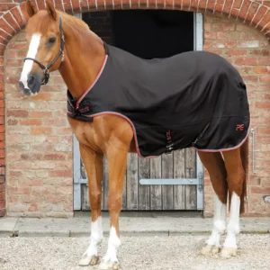 Premier Equine Horse Walker Rug 100g