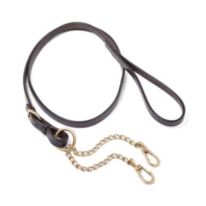 EcoRider Lead with Brass Chain