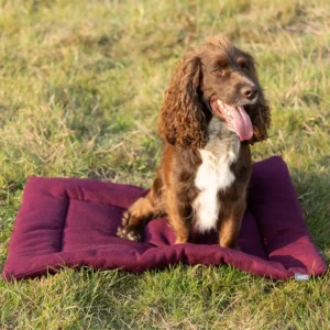 Benji & Flo Luxury Fleece Dog Bed