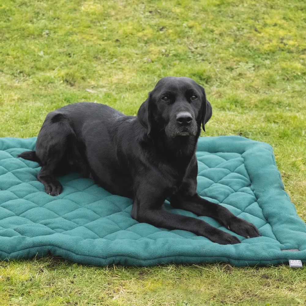 Beds, Mats & Crates