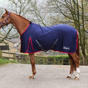 Whitaker Stable Sheet V2 -Rastrick