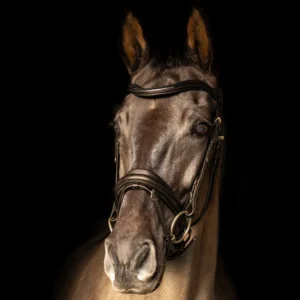 Hy Equestrian Leather Bridle -ProPresicce Pelle Crank