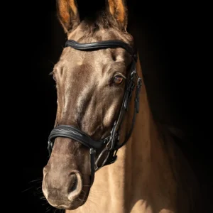 Hy Equestrian Leather Bridle -ProPresicce Pelle Drop