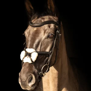 Hy Equestrian Leather Bridle -ProPresicce Pelle Grackle