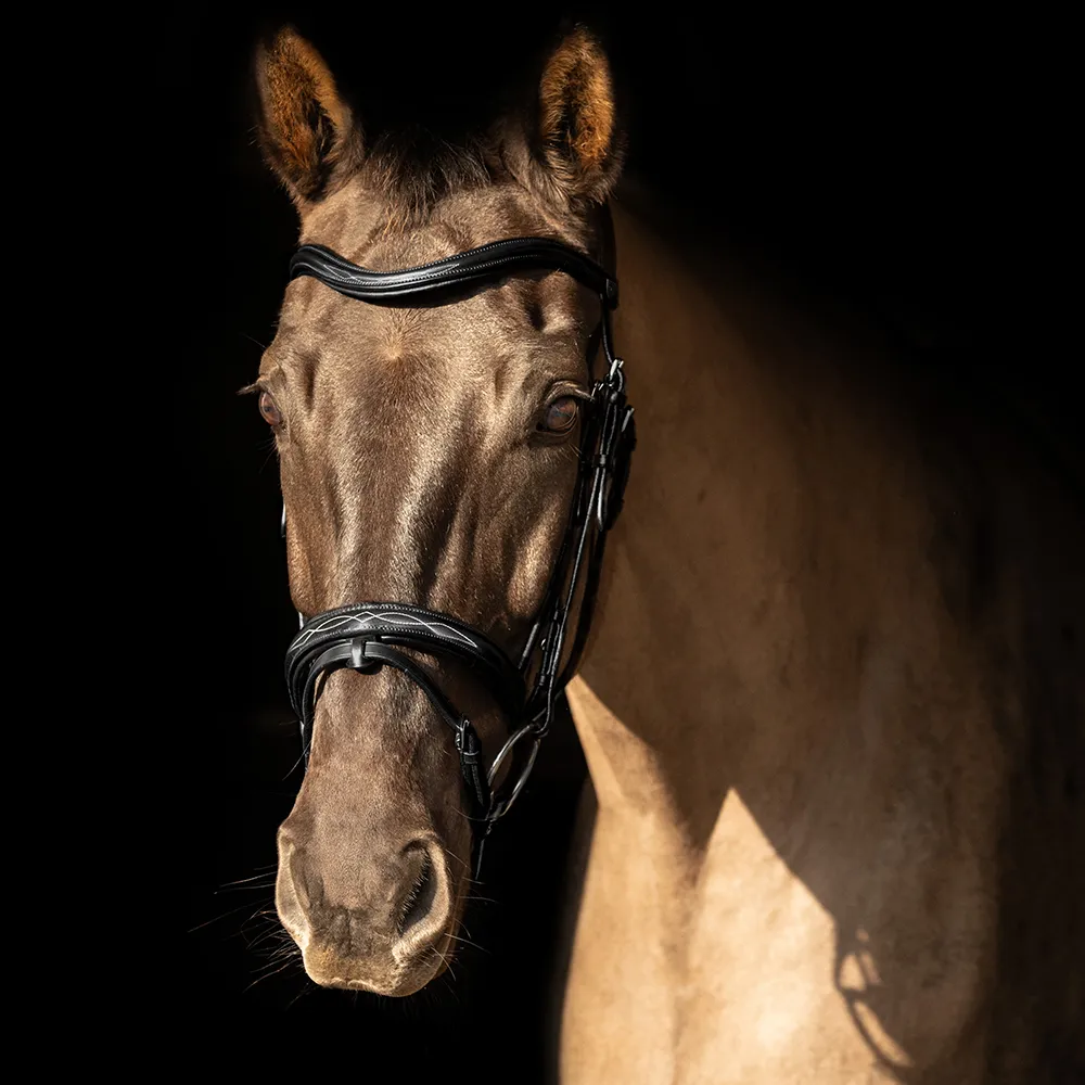 Hy Equestrian Leather Bridle -ProPresicce Pelle Raised Flash - Image 2