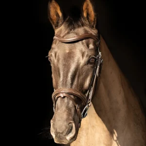 Hy Equestrian Leather Bridle -ProPresicce Pelle Raised Flash