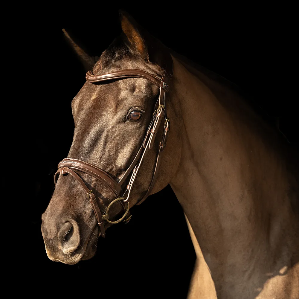 Hy Equestrian Leather Bridle -ProPresicce Pelle Raised Flash - Image 3
