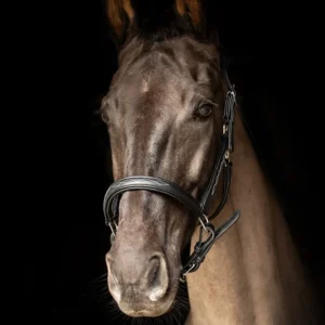 Hy Equestrian Leather Head Collar -ProPresicce Softy