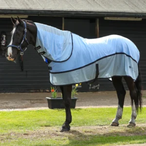Equilibrium Detachable Neck Quick Chill Cool Rug