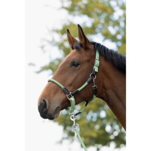 HKM Head Collar -Carlotta