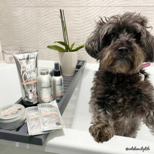 Mega Deal - Sniffle & Likkit Paw Protection Balm