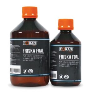 Foran Equine Friska Foal