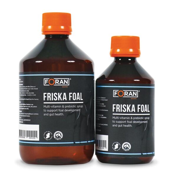 Foran Equine Friska Foal