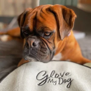 Mega Deal - Sniffle & Likkit Glove My Dog Towel