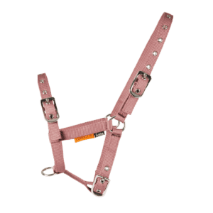 Cameo Equine Foal Headcollar