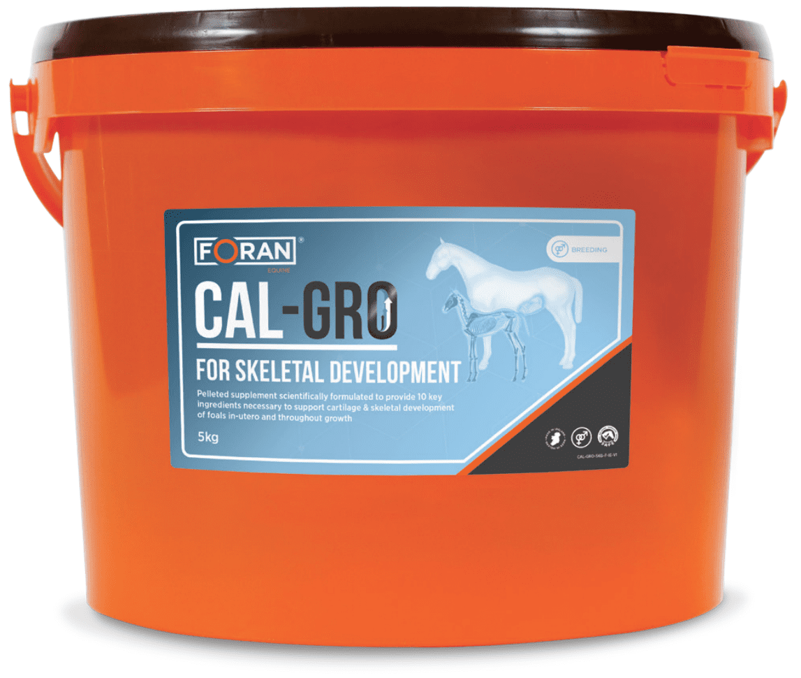 Foran Equine Cal-Grow 5kg