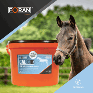 Foran Equine Cal-Grow 5kg