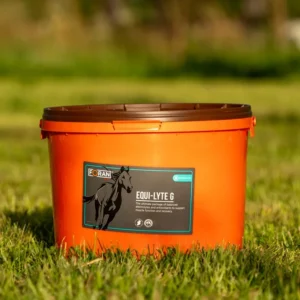 Foran Equine Equi-Lyte G 10kg Click & Collect